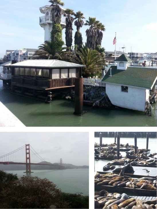 san francisco pier 39