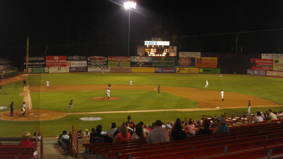 bowie baysox baseball usa